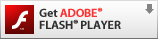 Adobe Flash Player̃_E[h